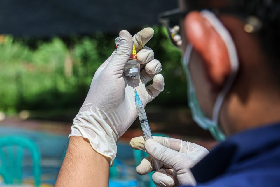 ratones, vacuna, alerta, hantavirus 