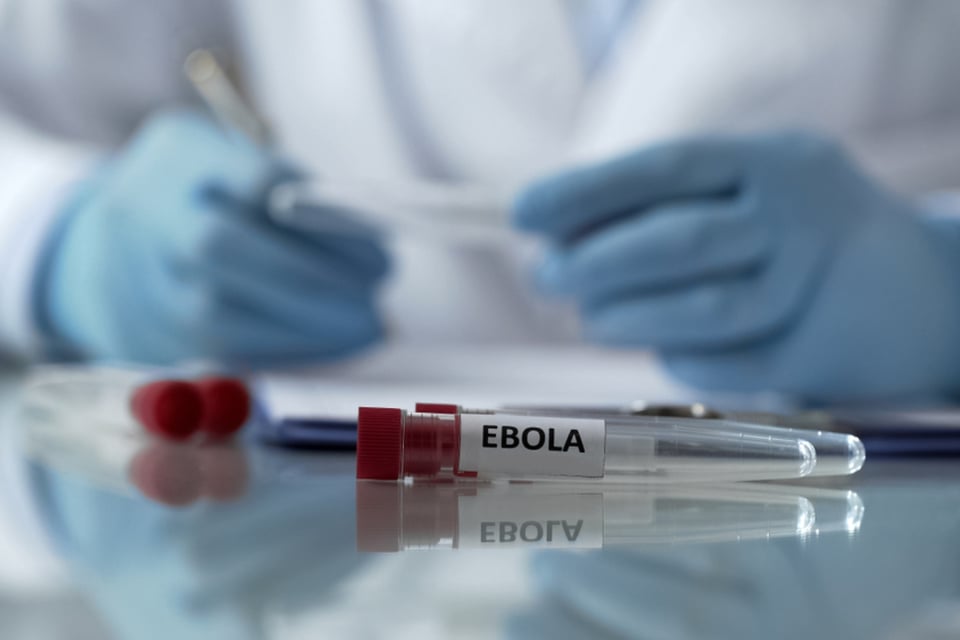 Brote de ébola avanza