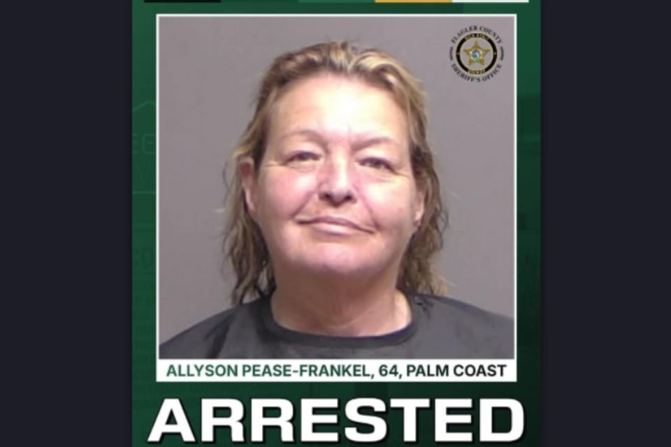 Abuela arrestada, Pitbull, Florida MundoNOW