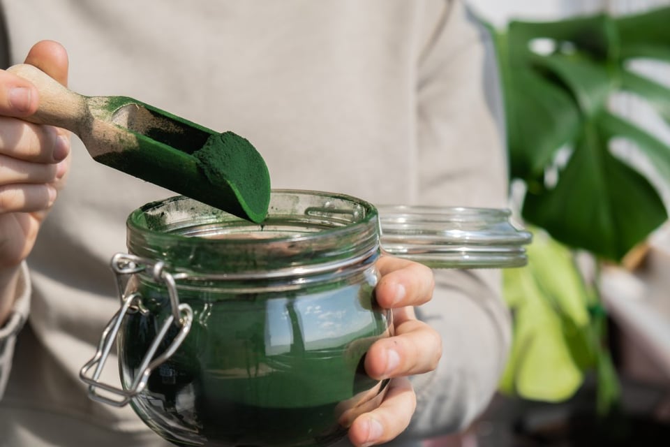 espirulina, alimento, salud, beneficios, alga, verdiazul