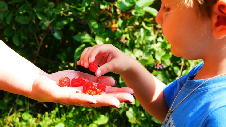 ninos, vitaminas, necesarias, pediatras, salud, infantil gmitas