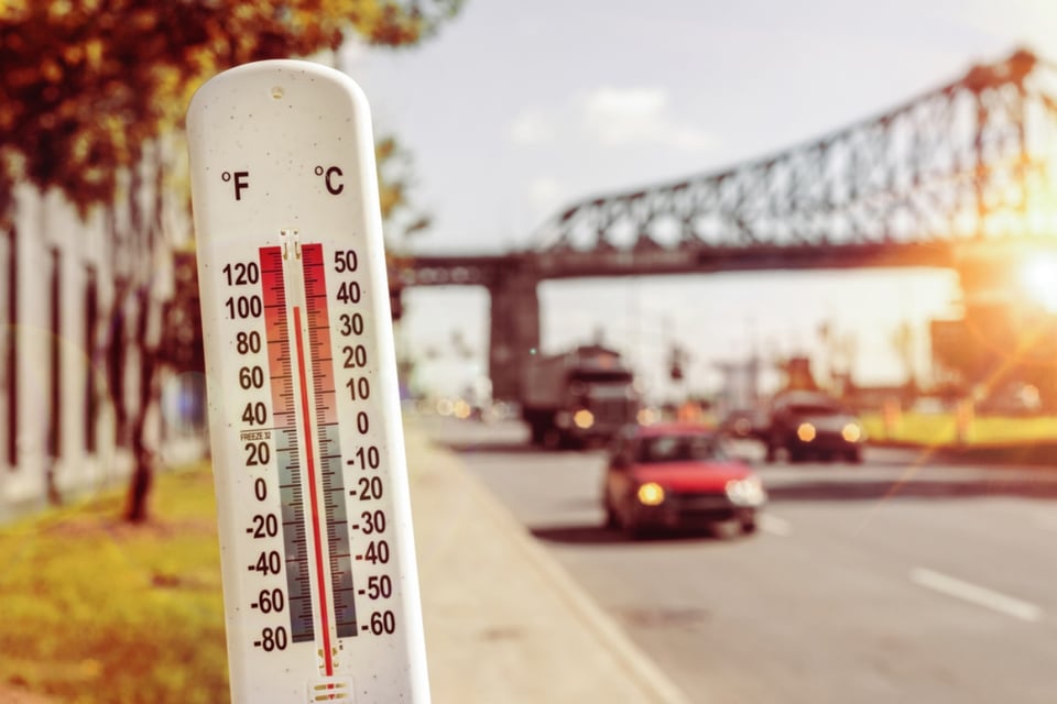 Ola de calor deja muertos