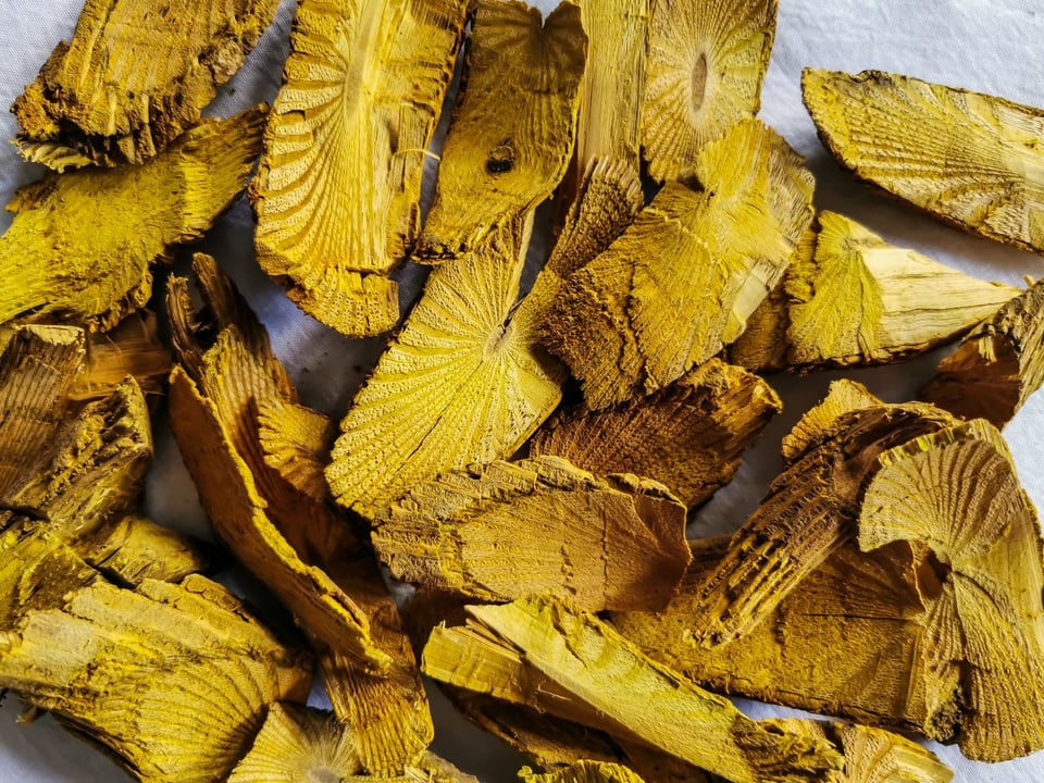 berberina, ozempic, natural, medicina, vitamina, salud