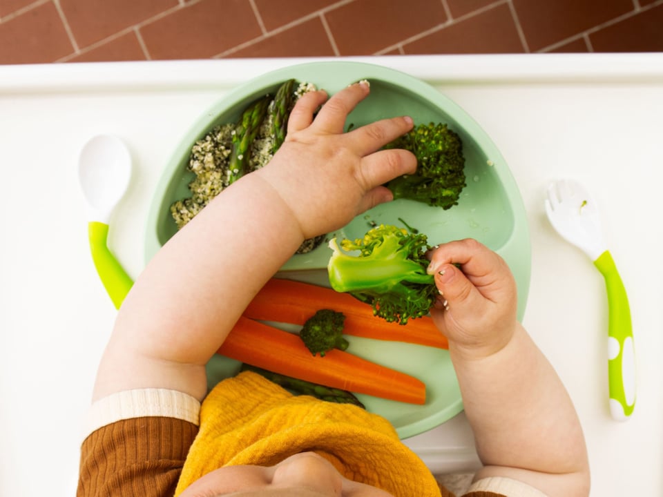 verduras, ninos, vegetales, comer, ciencia, batallas