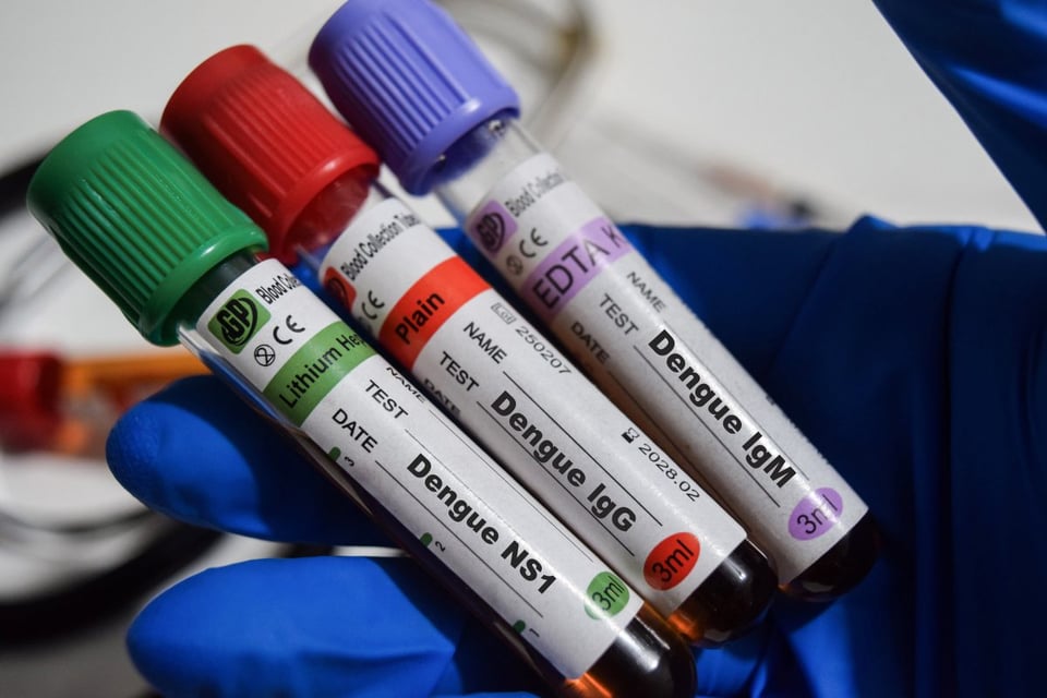 engue, mexico, vacunas, expertos, salud, enfermedad, epidemia 