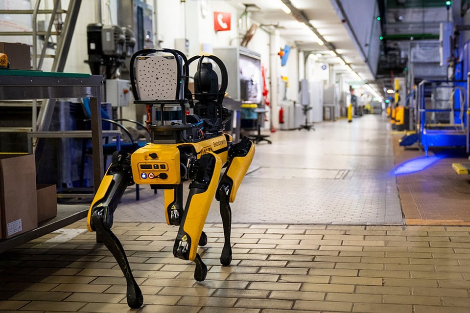 ICE Plans to Spend $2 Million on Robot Dogs for Dangerous Operations