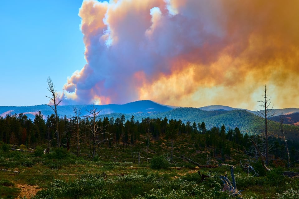 Incendios forestales en el noroeste de EEUU