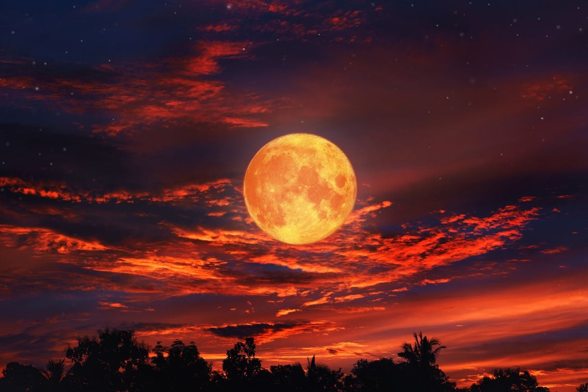 Eclipse de Luna de Sangre podrá verse desde EE.UU. y Canadá: fechas y horarios