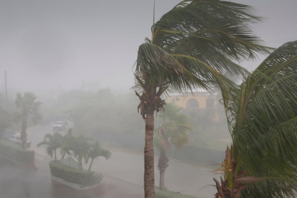 Tormenta tropical Lala