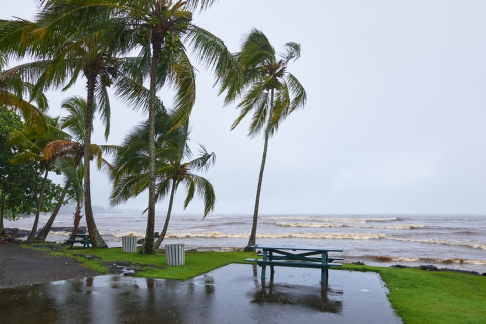Tropical Storm Cristobal forms