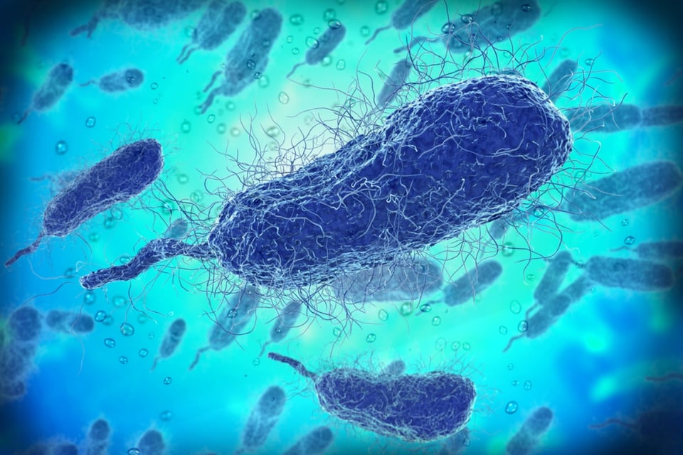 Alerta en Luisiana: cinco personas mueren por peligrosa bacteria presente en aguas cálidas