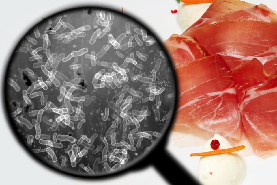 Cinco personas mueren por bacteria