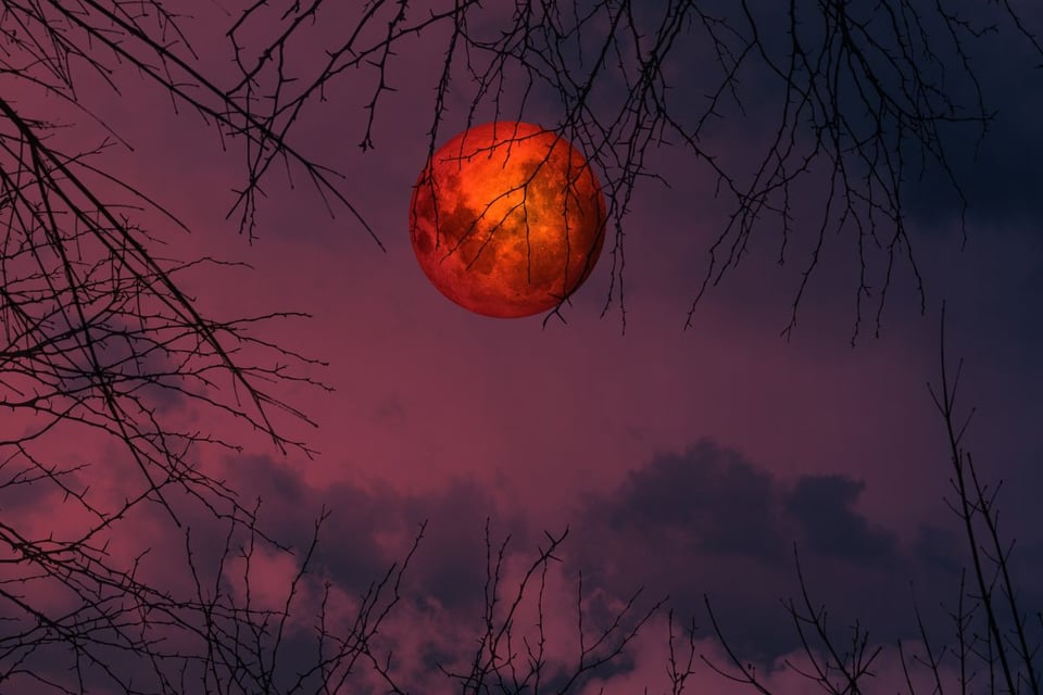 eclipse lunar en Estados Unidos