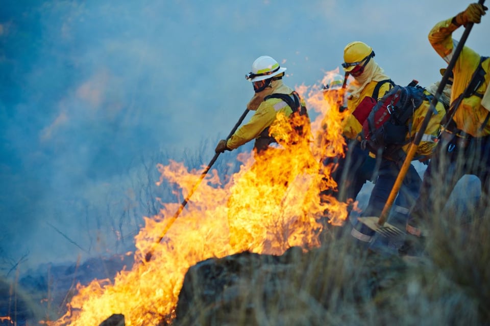Terror en Reno: incendio fuera de control obliga a casi 90.000 personas a huir de sus casas