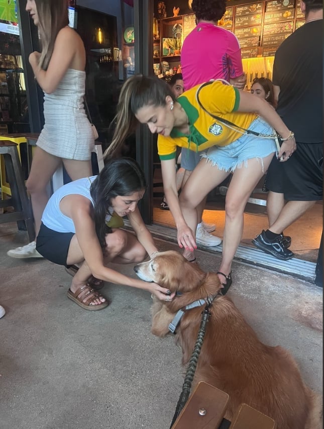 bar, sport, deportivo, experiencia, perro 