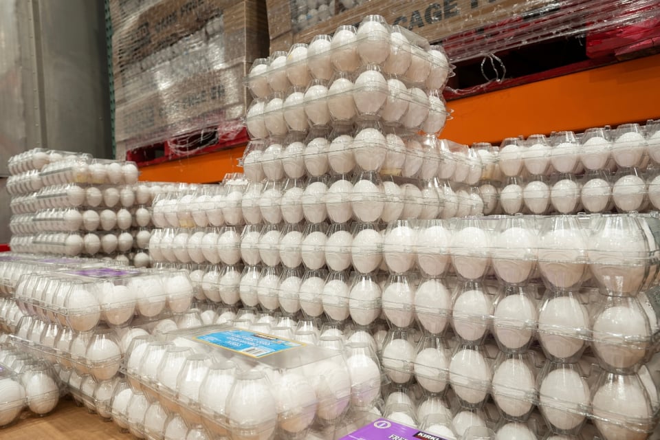 FDA lanza alerta máxima por retiro de 19 millones de huevos
