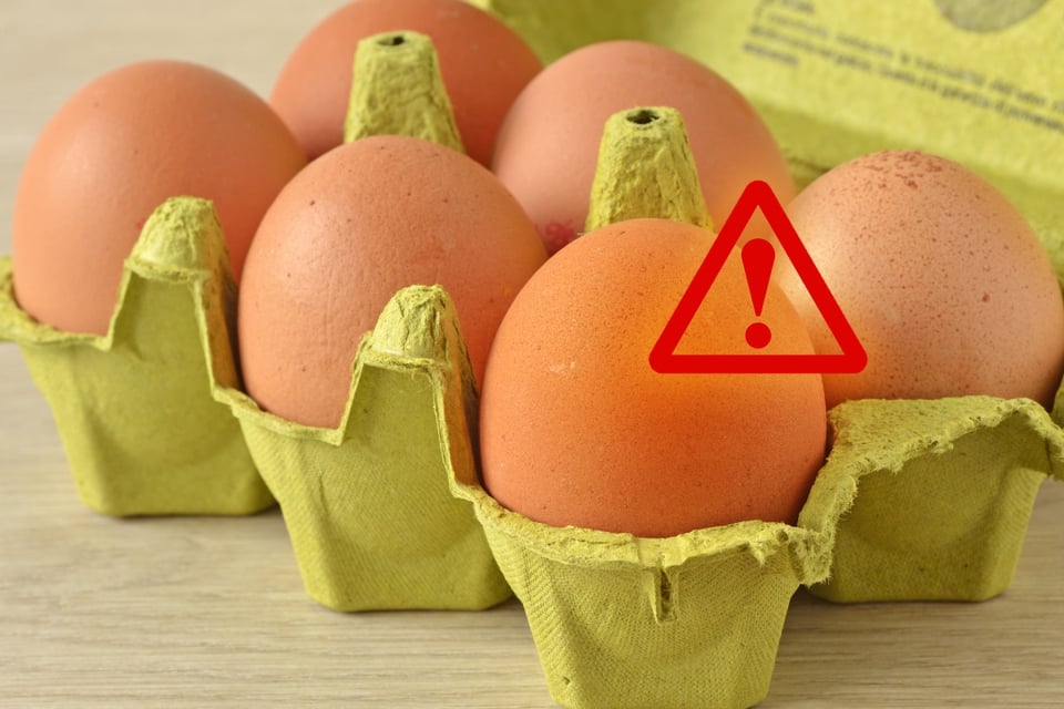 Alerta por salmonela en EEUU: retiran 1,5 millones de cartones de huevos