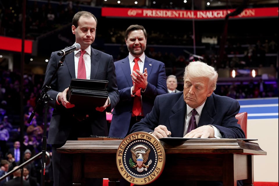 trump, scharf, abogado, casa blanca, elecciones, noviembre 