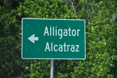 Escándalo tras el cierre de Alligator Alcatraz: acusan a dos guardias de golpear a un migrante