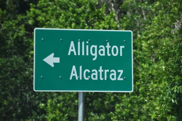 Escándalo tras el cierre de Alligator Alcatraz: acusan a dos guardias de golpear a un migrante