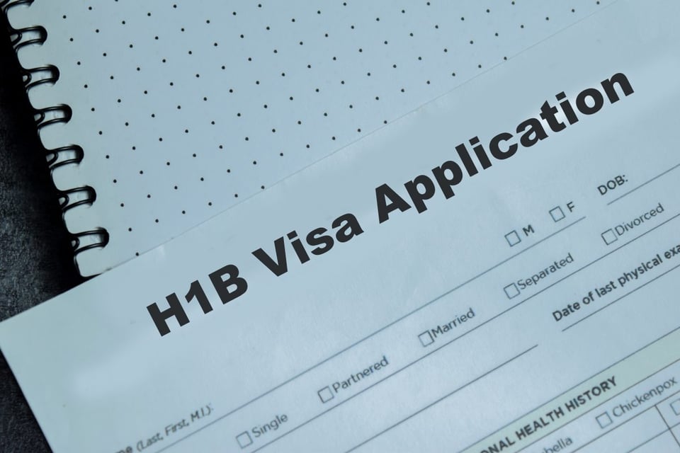 visas, work, in, november, dhs, key, job