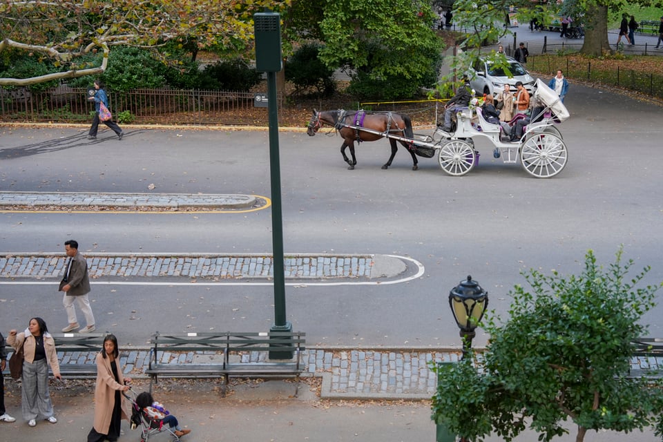 Nueva York pone fecha al fin de los carruajes de caballos: polémica por 200 empleos en riesgo