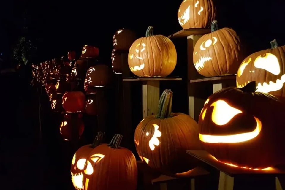 Halloween Candy Sales Slump as Chocolate Prices Spook Consumers