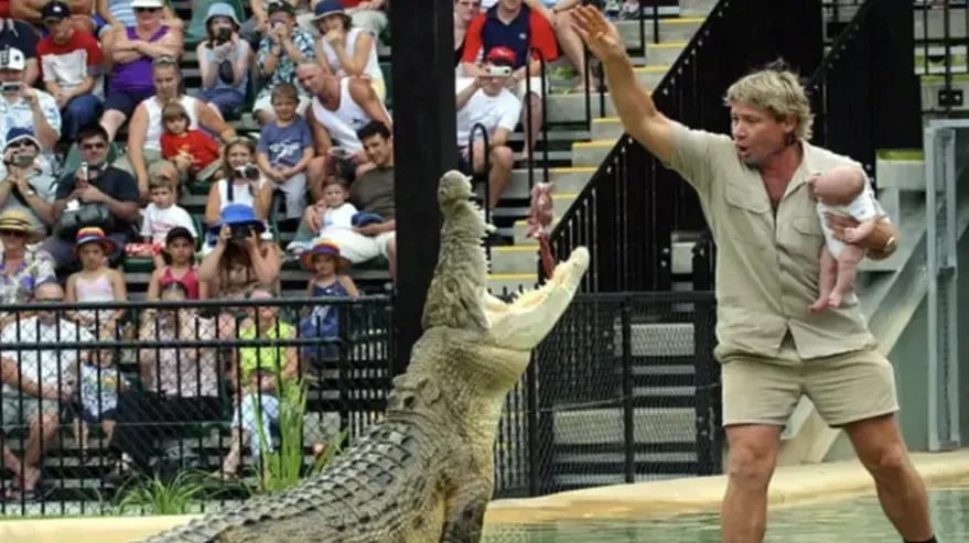última fotografía Steve Irwin: Le costó caro
