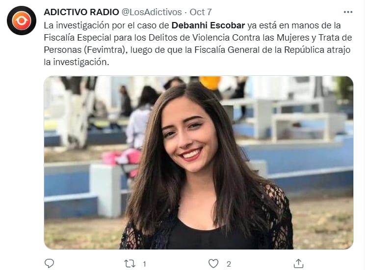 ¿Cuáles son las fallas del caso?