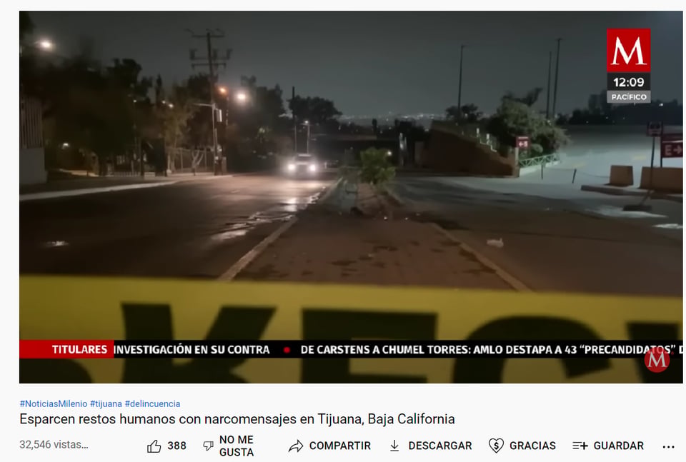 ¿En una bolsa fue abandonado?
