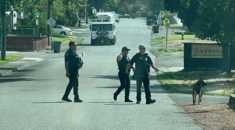 Crónica: Hispano ladrón se le logró volar a la policía