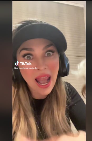 Aracely Arámbula Luis Miguel: ¿Una tormentosa relación?