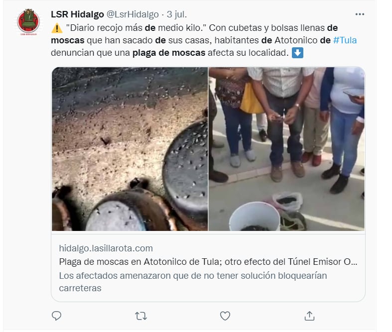 Reportan plaga moscas México: ¿En busca de soluciones?