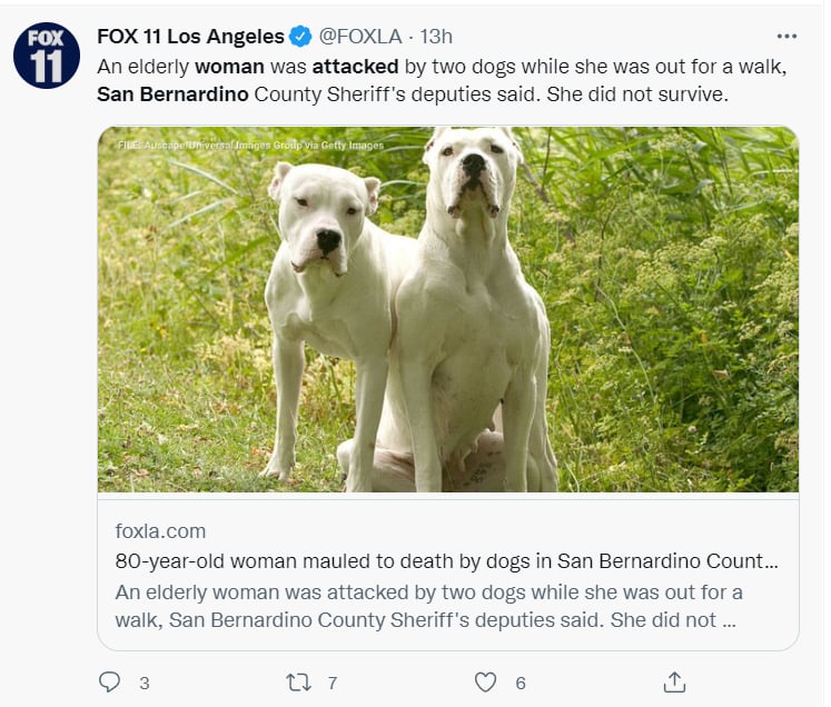 Mujer muere ataque perros: ¿Qué pasó con los perros?
