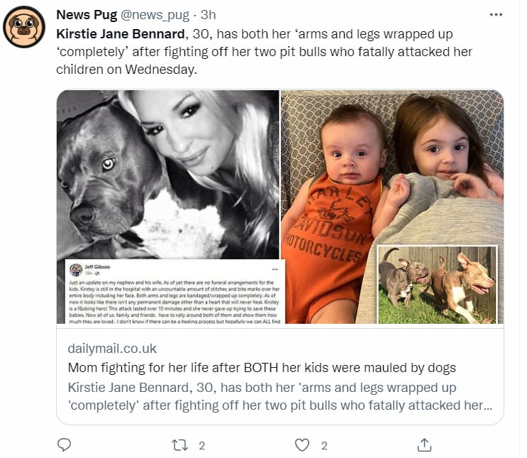 MADRE PIERDE A SUS DOS HIJOS POR PITBULL