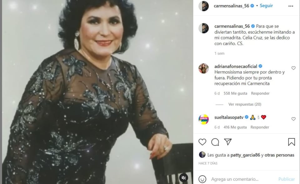 Daughter Carmen Salinas: What led you to have the stroke?
