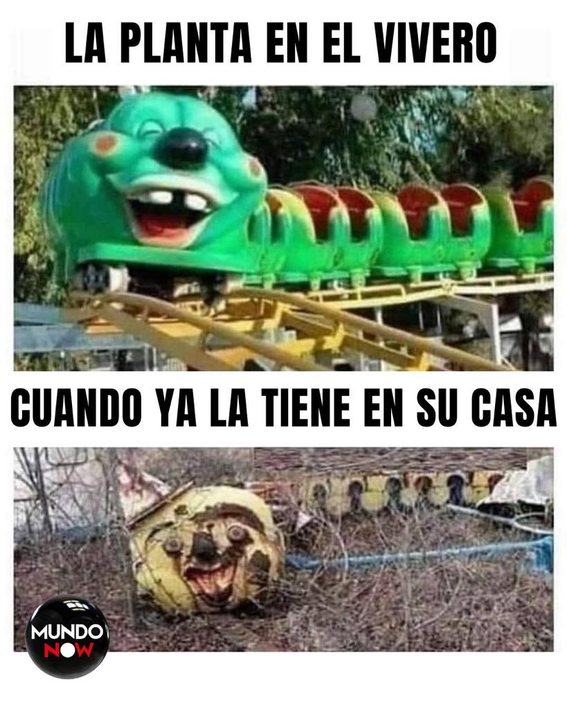 vivero, plantas, casa, juegos, plantas