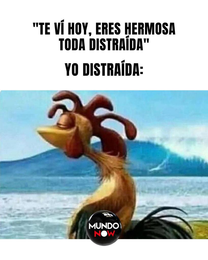 hermosa, distraída, hermosa, gallo, diversión