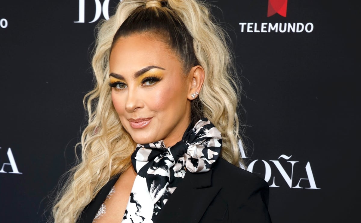 Aracely Arámbula presenta ‘nuevo esposo’ y anuncia inesperada noticia (FOTO)