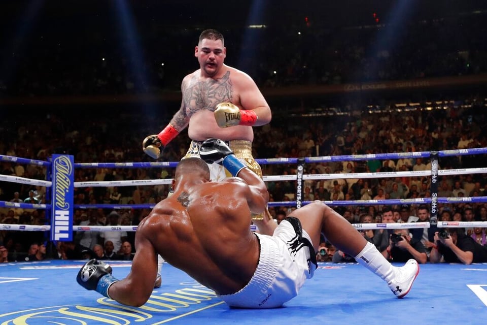 peleas, boxeador, ring de boxeo, box, vencedor