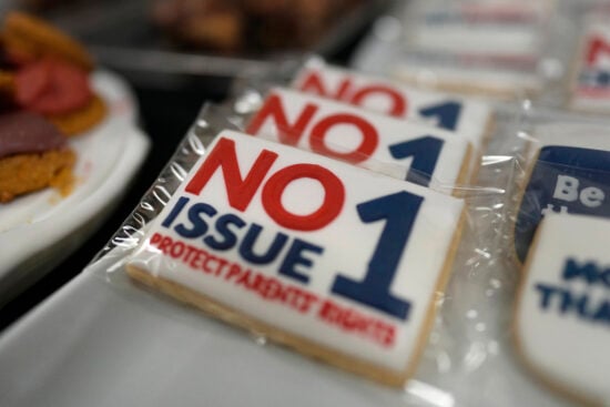 Supporters, Election, Politics, United States, Amendment
