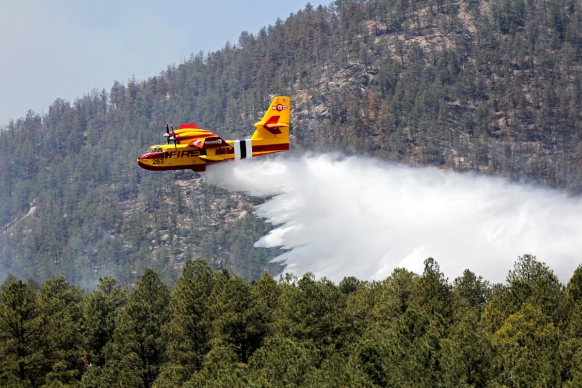 incendio forestal