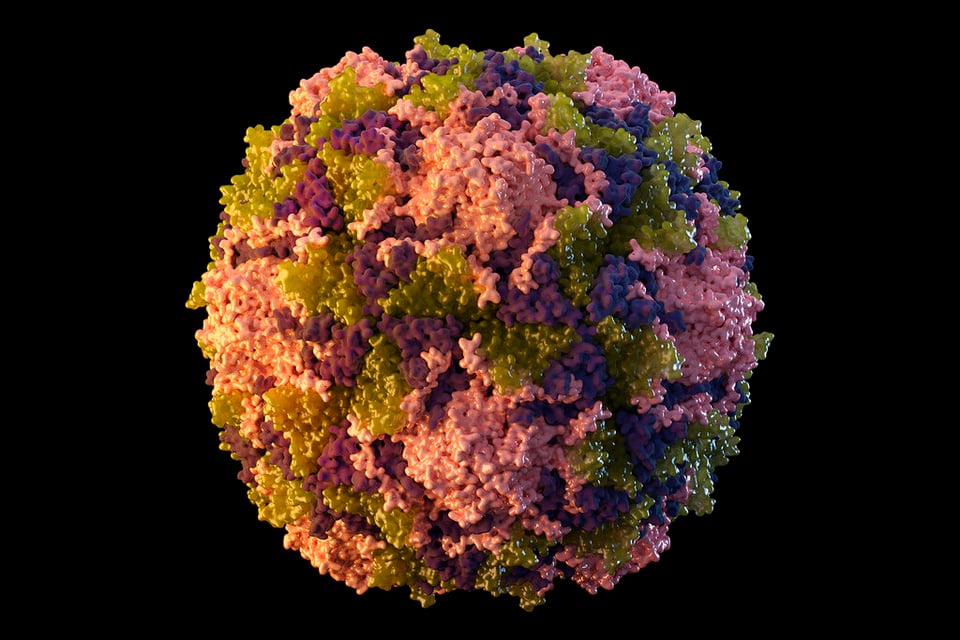 Detectan virus de polio