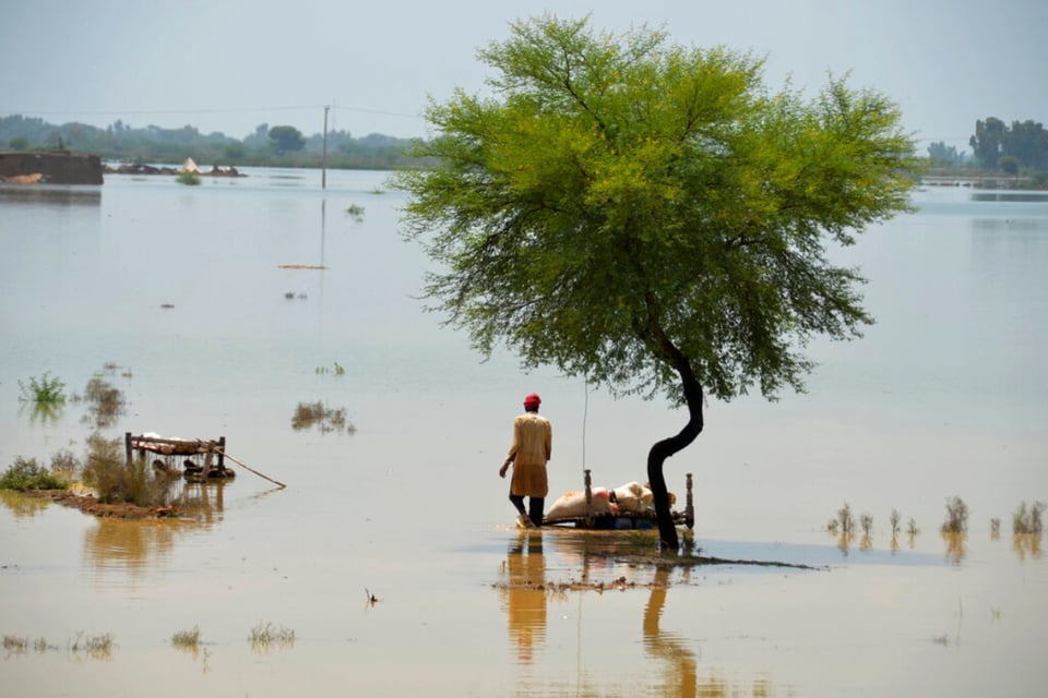 Lluvias monzónicas dejan unos 1,000 muertos en Pakistán