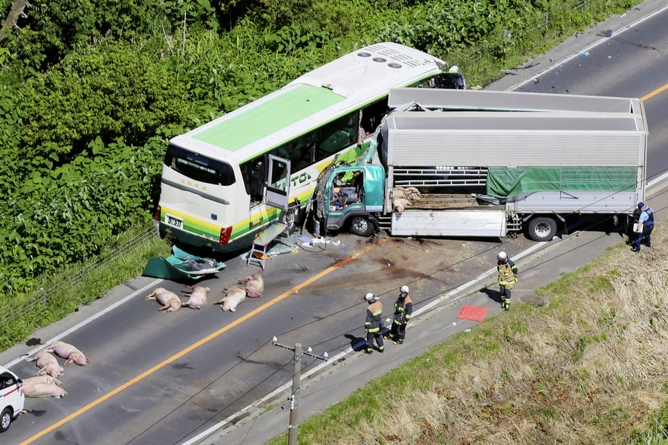 Mueren 5 personas en choque entre camión y autobús en Japón