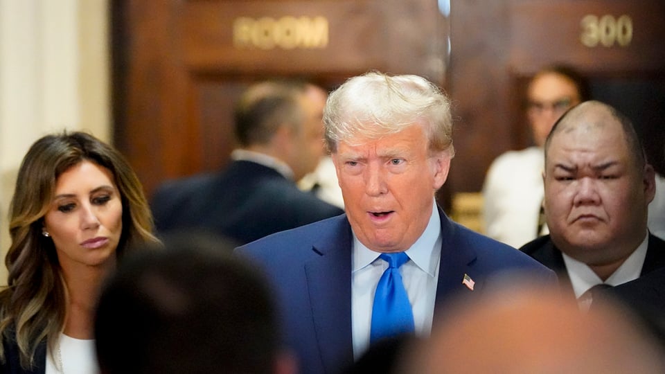 incursión en sistemas electorales, Scott Hall se declaró culpable, caso de Trump,