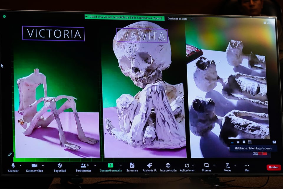 pantalla, displays, periodista, Jaime Maussan, vida extraterrestre