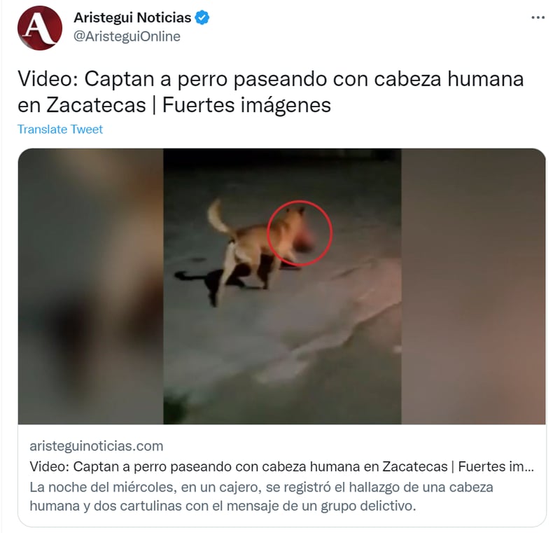 dog human head mexico