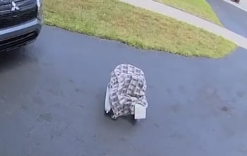 Crónica Pareja abandona nacido