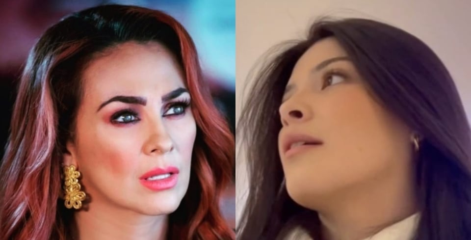 Who is Aracely Arámbula’s niece who is following in her footsteps?